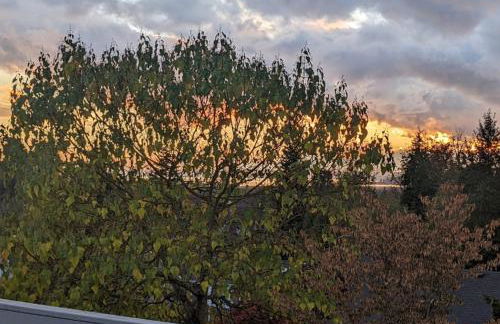 New Ridge View Marysville 3 beds 2 baths - Foto 32