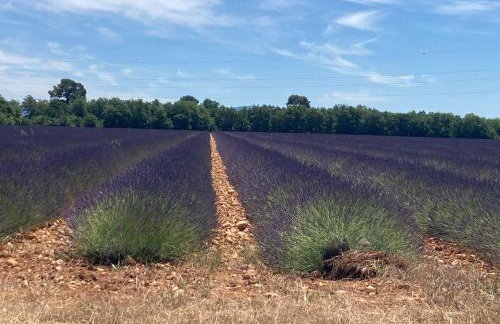 Petite Campagne au coeur des gorges du Verdon - Foto 6