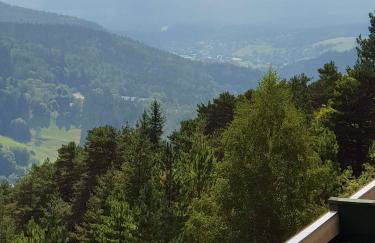 Studio avec vue sur la montagne à Villard de Lans - 34 m² - Foto 24