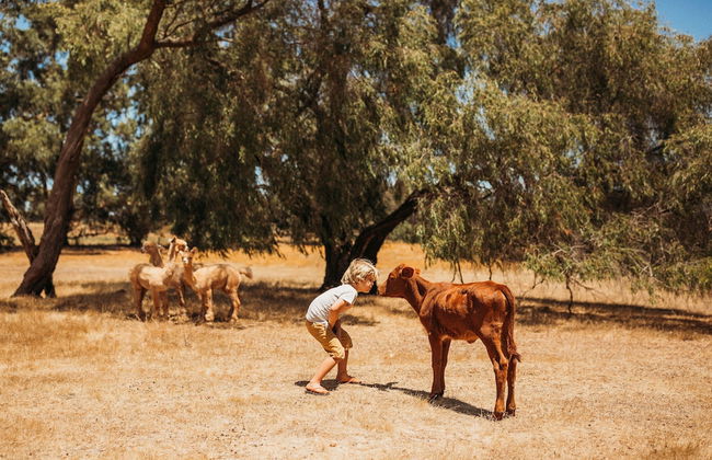 Margaret River Holiday Cottages - Photo 64