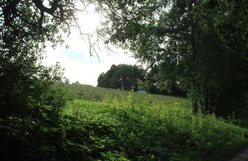 Ferienwohnung Wippertal Biesenrode - Foto 21