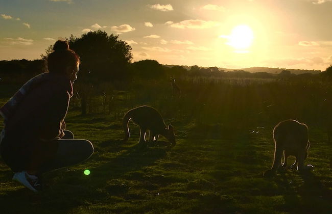 Prom Coast Apartments - Photo 21