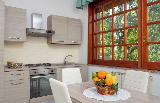 Giardino di Nonno Lucio - Foto 16