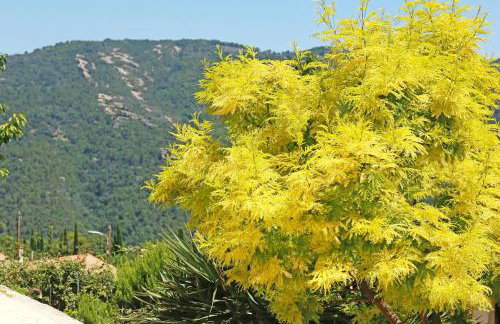 Villa avec vue, piscine et aircon - Foto 13