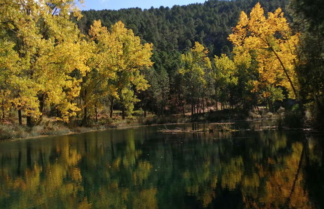 Tour en 4x4 por el nacimiento del río Mundo - Photo 8