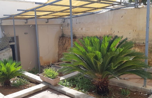 Agriturismo Vivinatura - Foto 46