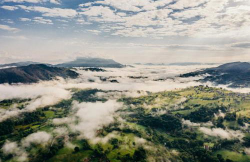 La Rectoral - Foto 38