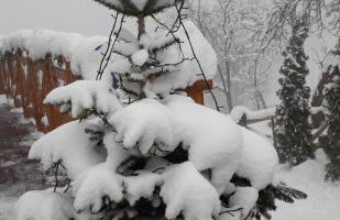 Domek Góralski Piwowarówka - Foto 3