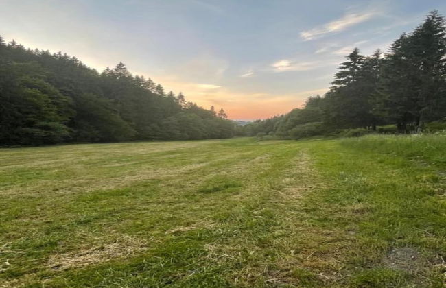 Wohnung in Willingen am Ettelsberg Skilift - Photo 35