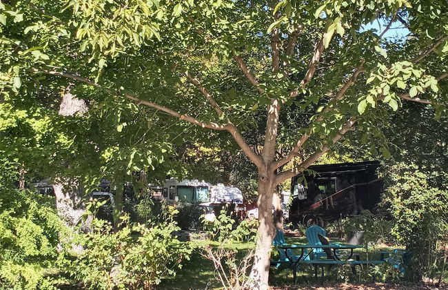 Bigfoot RV & Cabins Park - Foto 24