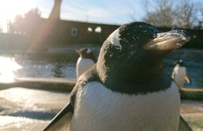 Violet Bank Apartment New Town - Foto 20