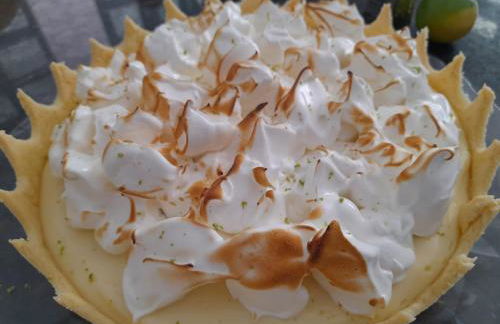 Casa Pouso das Fadas com Arrumadeira e Cozinheira Profissional - Foto 76