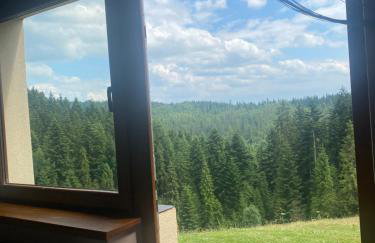 Apartament w górach Gorce - Foto 21