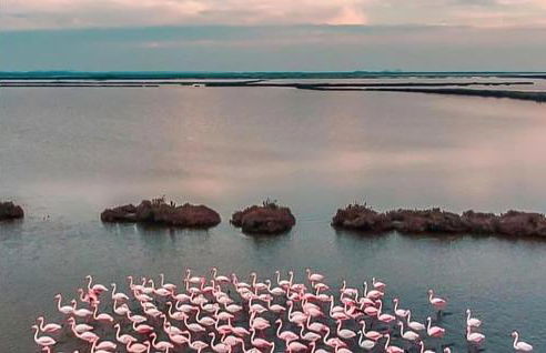 Nice Apartment In Comacchio With Wifi - Foto 6