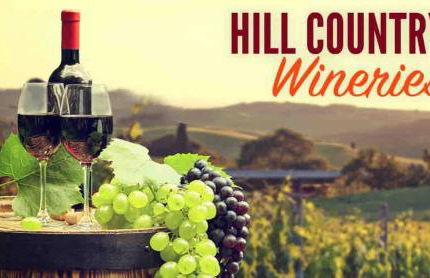 Entertainers Paradise 16m to wine trail 2 kings - Foto 43