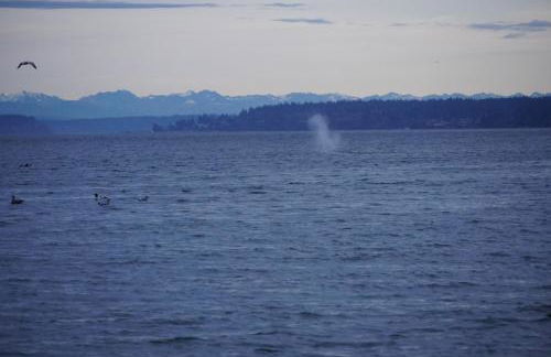 Beach House at Whidbey Shores - Photo 49