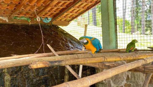 Casa de Campo Ibiúna Fazenda Vale Dourado - Foto 3