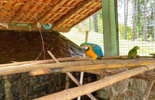 Casa de Campo Ibiúna Fazenda Vale Dourado - Photo 3