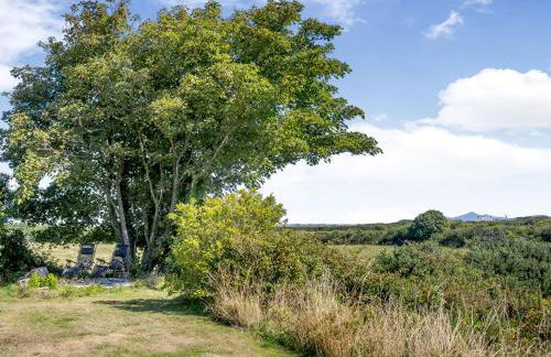 Tyn Morfa - Photo 26