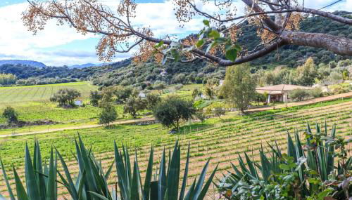 Agriturismo Su Solianu - Foto 4