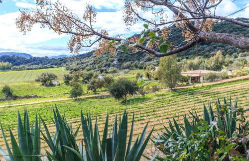 Agriturismo Su Solianu - Foto 4