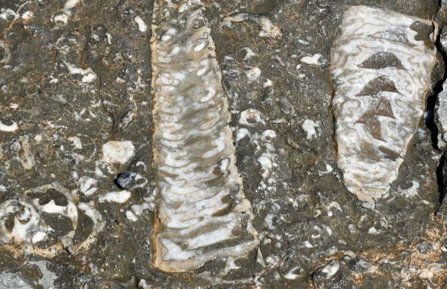 Musandam Private Off-Roading Tour - Photo 2