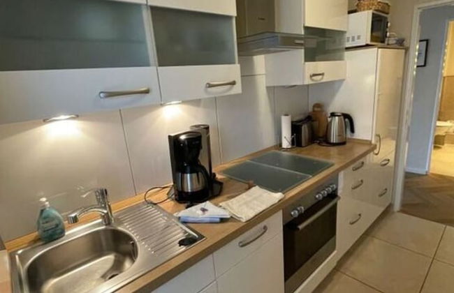 Herring Gull - Foto 6