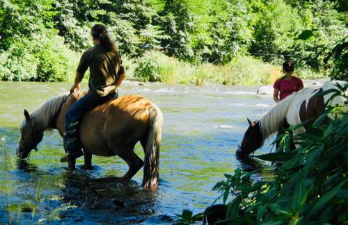 La Kabylie au coeur des 3 Vallées internet tout compris - Foto 31
