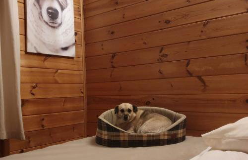 Mazurzanka - Leśny Domek w Bajkowym Zakątku - Foto 11