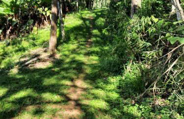 Chácara Recanto Feliz - Foto 26