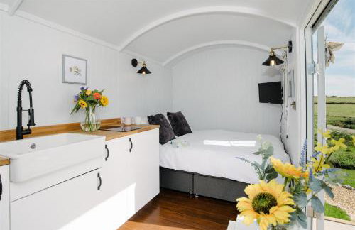 Shepherds Hut at Chenhall Farm - Photo 31