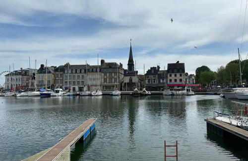 Clos des hortensias - Foto 15