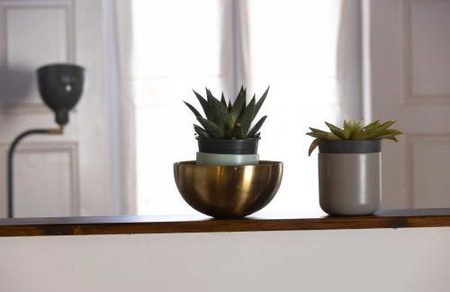 Casa Amarela Sao Luis - Foto 11