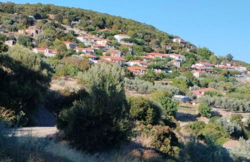 Πέτρινο Αλώνι - Foto 36