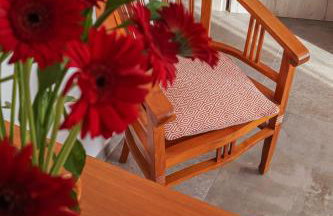 Ferien unnern Appelboom (80m2 Wohnung mit großem Garten) - Foto 19