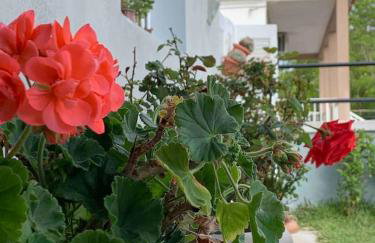 Cleopatra's Cozy Cottage - Foto 13