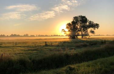 Ferienwohnung Ostseestrandgut - Foto 7