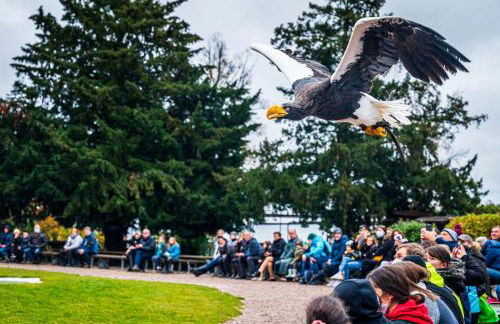 GÎTE **** L'ATELIER DU TONNELIER - Foto 25