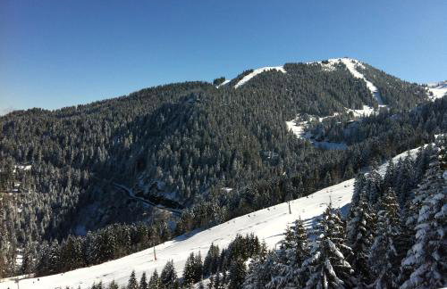 Appartements Le Clos des Gentianes - Foto 35