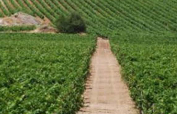 Villa Elaionas 1 - Foto 49