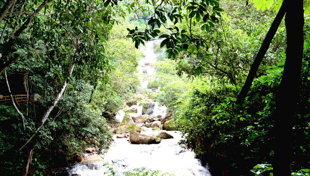 Tour por el valle del Perené - Foto 4, Cataratas del valle del Perené