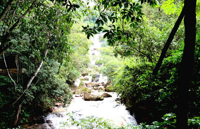 Tour della Valle del Perené - Foto 4