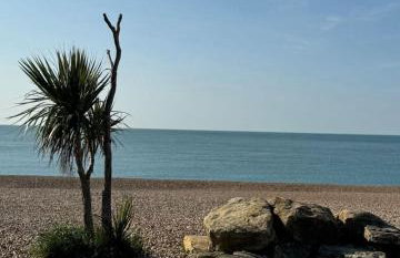 The Palms, Folkestone Beach - Foto 16