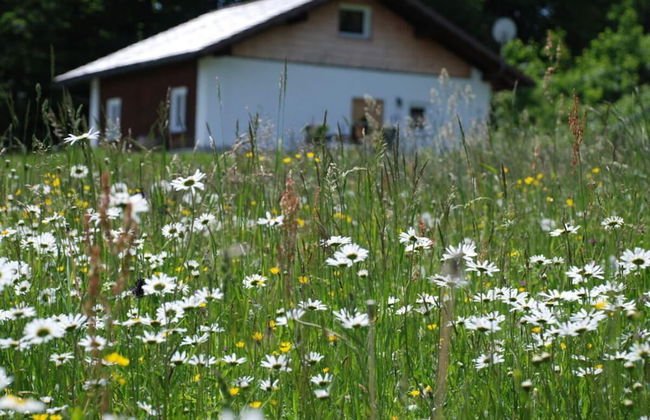 Attractive Apartment in Haidmuhle - Foto 23