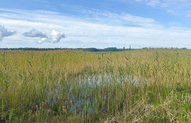 4 Star Holiday Home in Tavelsas - Foto 13