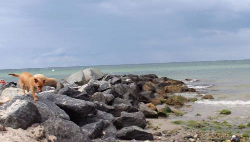 ❤️ KLEINE AUSZEIT ❤️ - Foto 3