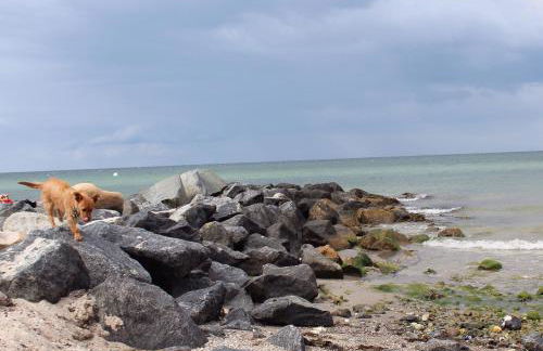 ❤️ KLEINE AUSZEIT ❤️ - Foto 3