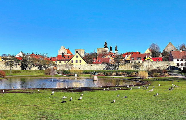 4 Person Holiday Home in Gotlands.tofta - Photo 9