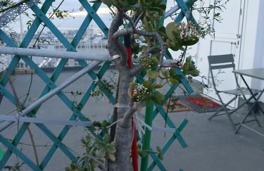 Sea View Nest - Photo 16