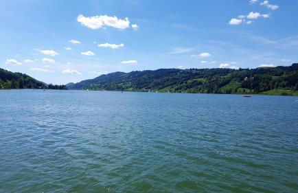 Ferienwohnung am Eichwald - Photo 29